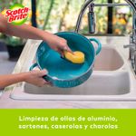 Esponja-de-cocina-egonomica-con-fibra-dura--pack-x-2