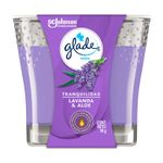 Ambiental-tipo-vela-con-agradable-aroma-a-lavanda-y-aloe-de-96-g