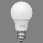 Foco-LED-tipo-bola-A60-de-12-Watts-de-luz-de-dia-para-boquillas-E27.-pack-x-2