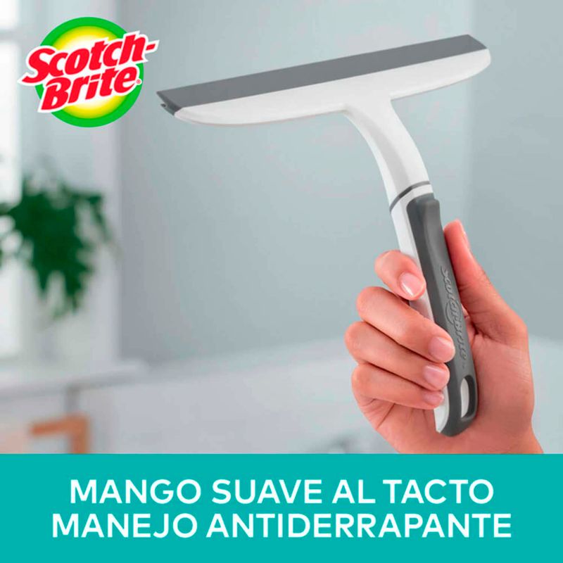 Limpiador-de-vidrios-pequeño-con-escurridor-de-vidrios-de-caucho