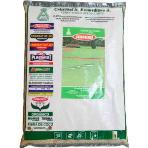 Semillas de césped alfombra para uso deportivo y jardines en SIERRA ; 454 gr - CRIBOSEEDS