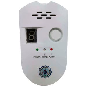 Detector de GAS GLP con sensor de pantalla digital para uso doméstico - PREDEX