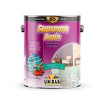 Pintura-de-latex-satinada-tipo-I--1-GL