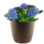 Macetero-plastico-redondo-GARDEN---4-de-23-cm