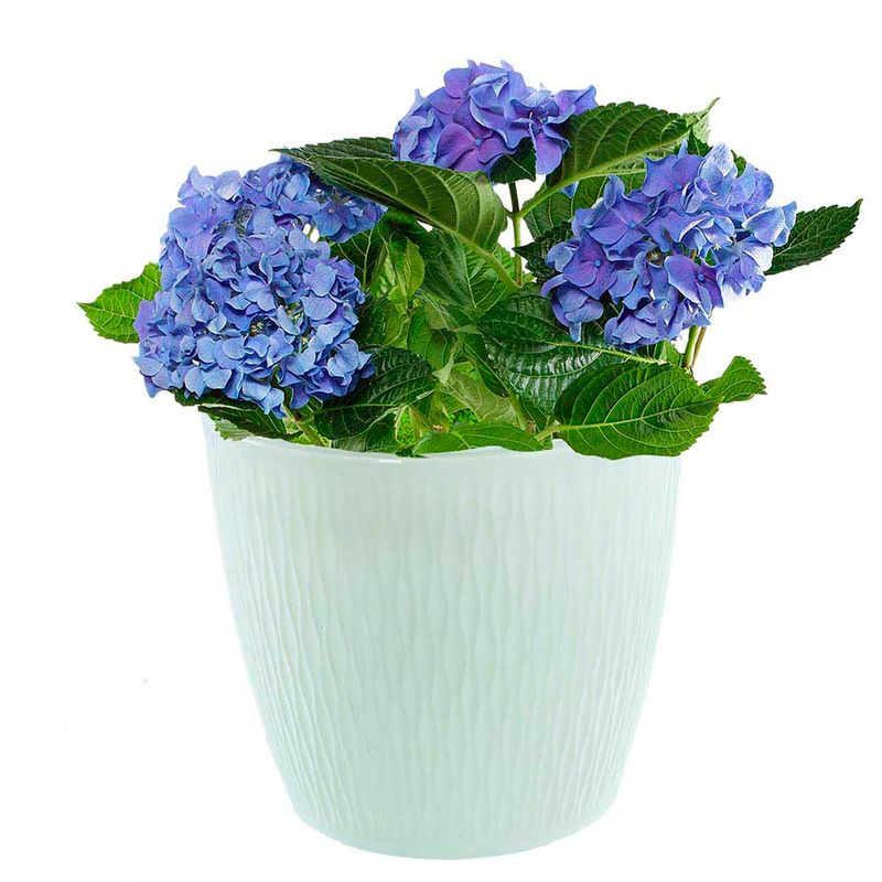 Macetero-plastico-redondo-GARDEN---4-de-23-cm