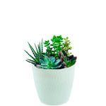 Macetero-plastico-redondo-GARDEN---2-de-15-cm