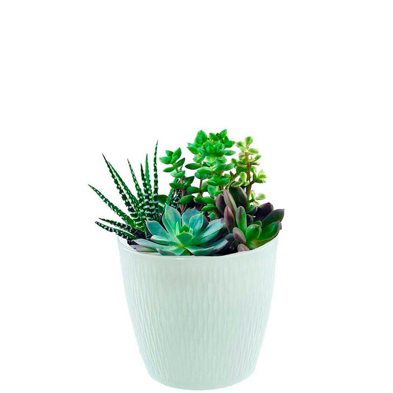Macetero-plastico-redondo-GARDEN---2-de-15-cm