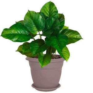 Macetero plástico redondo FLORA de 50 cm con base - PLAPASA