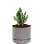 Maceta-plastica-circular-grande-MARBELO-de-25-cm-con-base