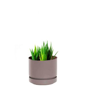 Maceta plástica circular mediana MARBELO de 22 cm con base - PLAPASA
