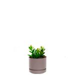 Maceta-plastica-circular-mini-MARBELO-de-12.5-cm-con-base
