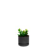 Maceta-plastica-circular-mini-MARBELO-de-12.5-cm-con-base