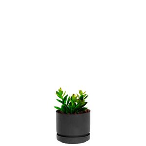 Maceta plástica circular mini MARBELO de 12.5 cm con base - PLAPASA