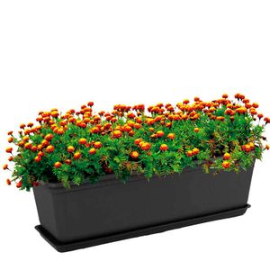 Maceta plástica rectangular EXPRESO grande con base - PLAPASA
