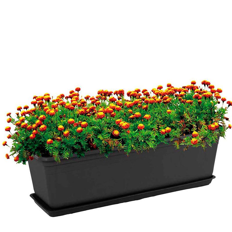 Maceta-plastica-rectangular-EXPRESO-grande-con-base