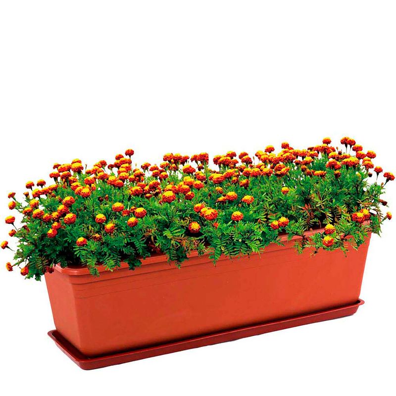 Maceta-plastica-rectangular-EXPRESO-grande-con-base
