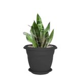 Maceta-plastica-circular-FLORA-de-50-cm-con-base