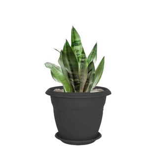 Maceta plástica circular FLORA de 50 cm con base - PLAPASA