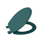 Asiento-de-baño-verde-con-un-excelente-acabado-se-adapta-a-todos-los-inodoros-con-anillo-alargado