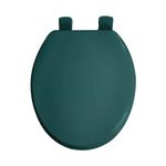 Asiento-de-baño-verde-con-un-excelente-acabado-se-adapta-a-todos-los-inodoros-con-anillo-alargado