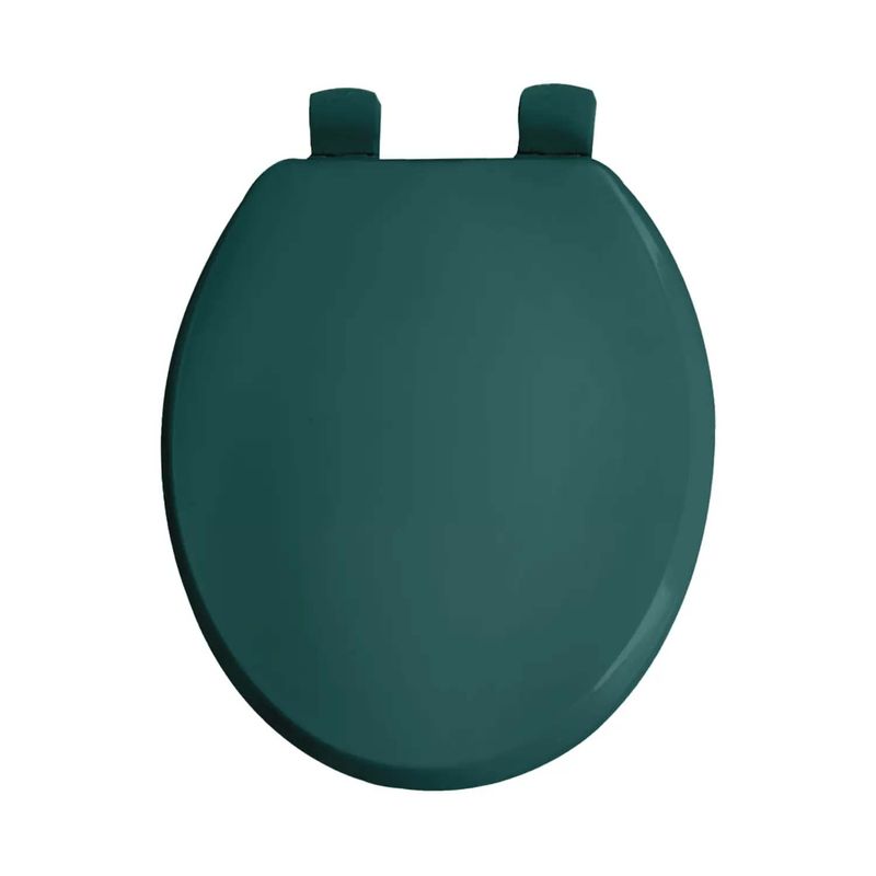 Asiento-de-baño-verde-con-un-excelente-acabado-se-adapta-a-todos-los-inodoros-con-anillo-alargado
