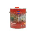 Econoseal-Brillo-Litro-Sellador-Acrilico
