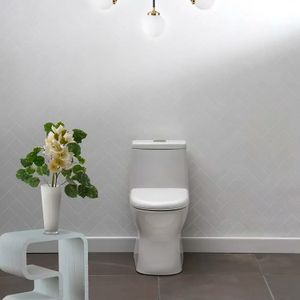 Wc. Cannes Bl E183-Bl Fv - FV