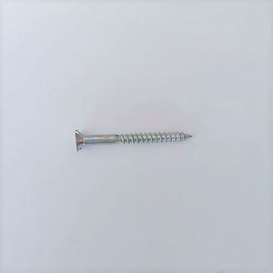 Tornillo Madera 2X10 C/U - ETAIMPEX