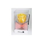 Rosa-Preservada-Salmon-Copa-De-Cristal