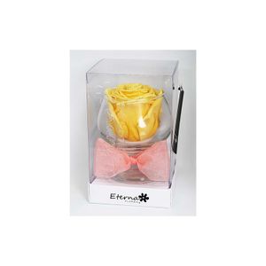 Rosa Preservada Salmon Copa De Cristal - ETERNA FLORES