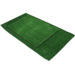 Alf-D--Pasto-Artificial