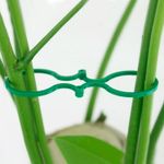Anillos-Para-Plantas