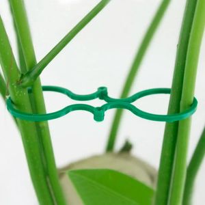 Anillos Para Plantas - GARDEN DEPOT
