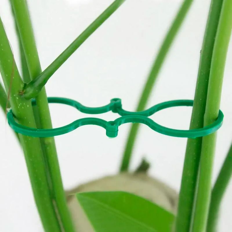 Anillos-Para-Plantas