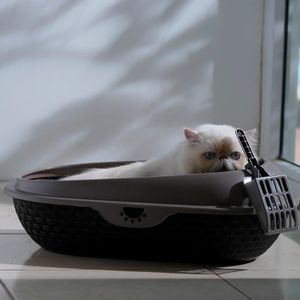 ARENERO P/GATO ROSADO CORAL PICA - PICA