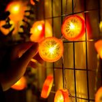 Luces-Decorativas-Disenio-Frutas