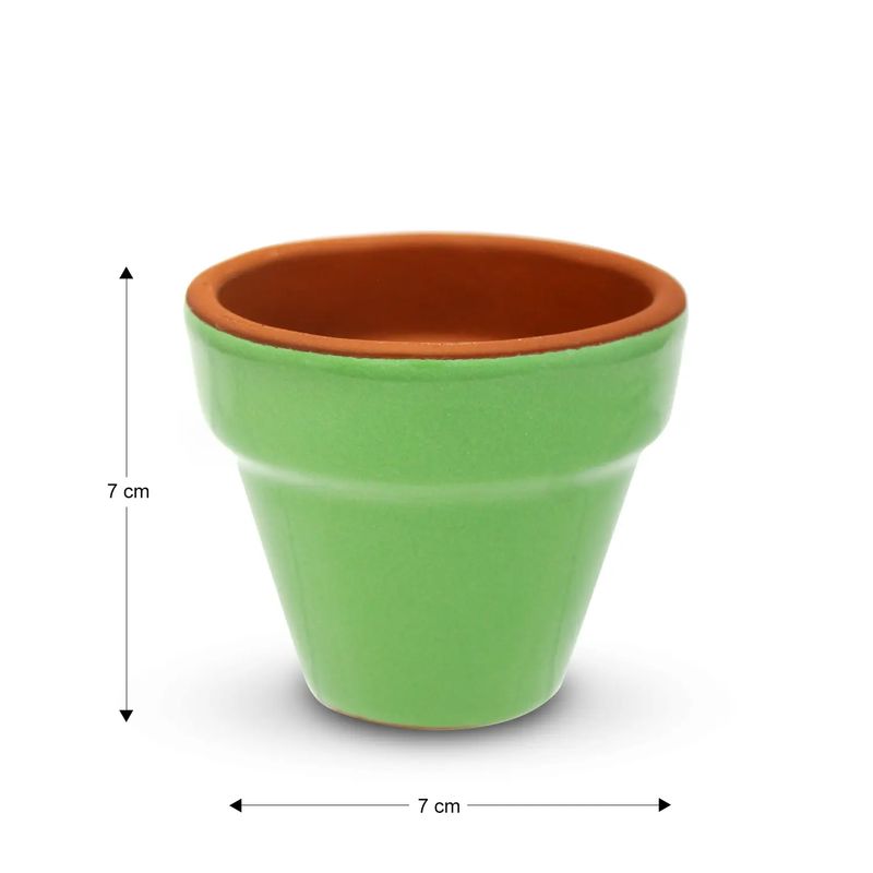 Maceta-E-Full-8Cm-Verde-Salvia-Mestiza