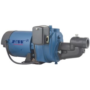 Bomba Jet 1Hp 110/220V 1F Flint Walling - FLINT & WALLING