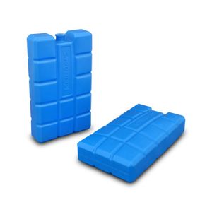 Botella Hielo P/Cooler 2Pcs - ORGILL