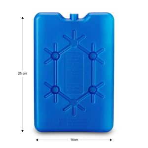 Botella Hielo P/Cooler 400Gr - ORGILL