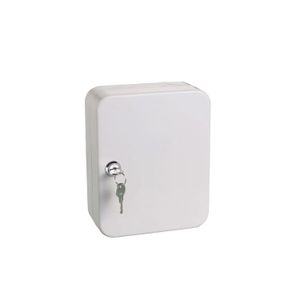 Clasificador De 20 Llaves Safewell Beige - SAFEWELL