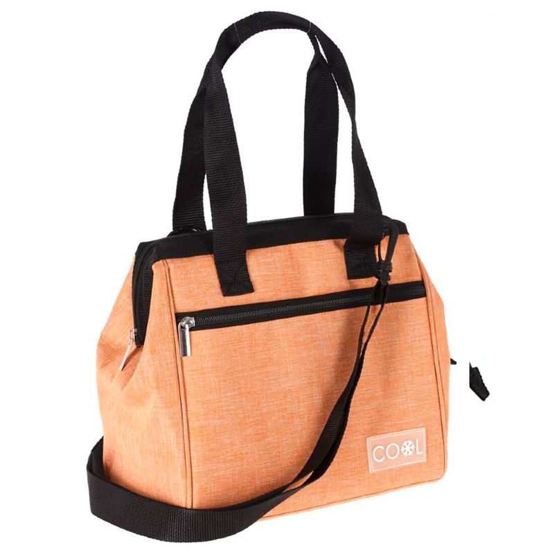 Cooler-T-Maleta-8Lt-26X14X23Cm-2Ass