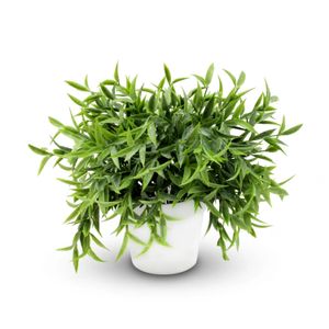 Planta Artificial C/Maceta 24Cm - EXCELLENT HOUSEWARE