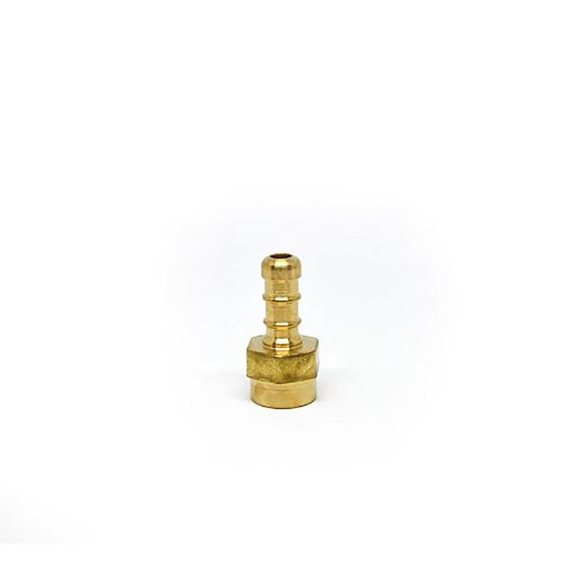 Piton-Bronce-Hembra-1-4--P-Gas