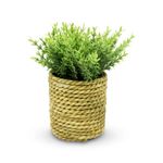 Planta-Artificial-C-Maceta-Soga-V-Colore