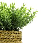 Planta-Artificial-C-Maceta-Soga-V-Colore