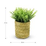 Planta-Artificial-C-Maceta-Soga-V-Colore