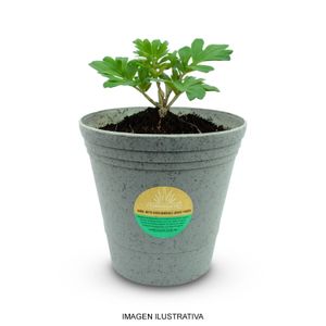 Maceta Artesanal D5" H5" Var C 2Pk V/Colores - TERRAGAVE