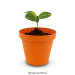 Maceta-redonda-tipo-RATTAN-plastica-pequeña-de-12.3-cm-de-diametro-y-0.75-l-de-capacidad--pack-x-3