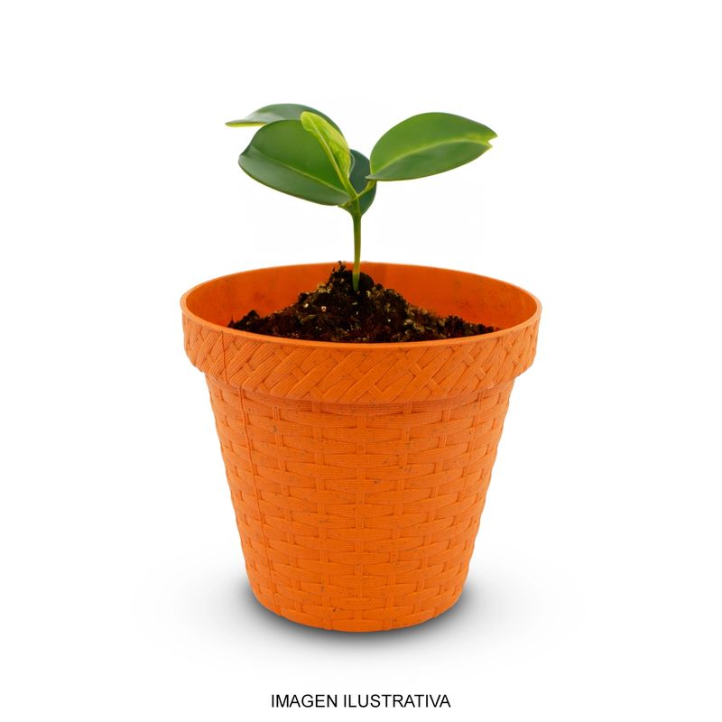 Maceta-redonda-tipo-RATTAN-plastica-pequeña-de-12.3-cm-de-diametro-y-0.75-l-de-capacidad--pack-x-3